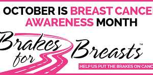 Webb Automotive Brakes for Breasts